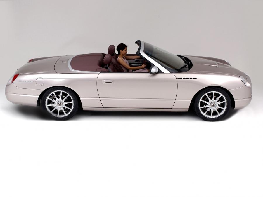  Valmet Thunderbird Retractable Glass Roof Concept 2003 года  (фото 4 из 4)